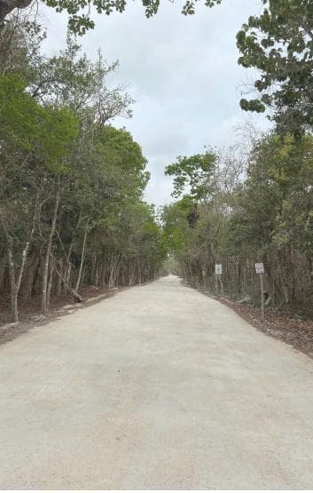 VENTA TERRENO CENOTE DOS OJOS - 1