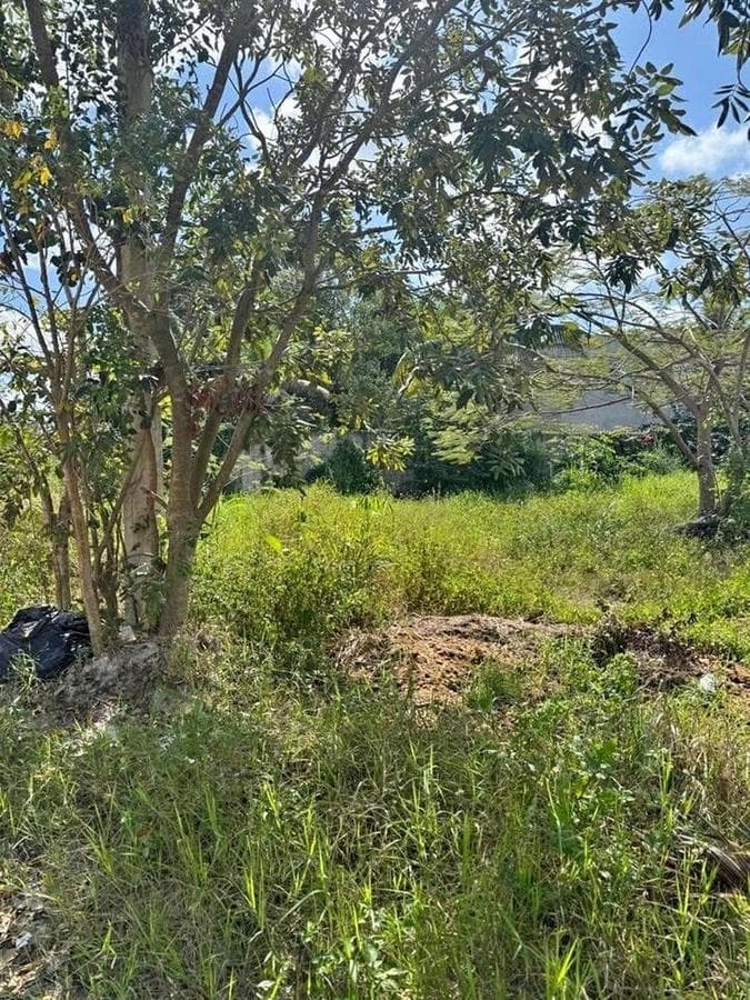 Venta de Terreno en Bonfil - 1