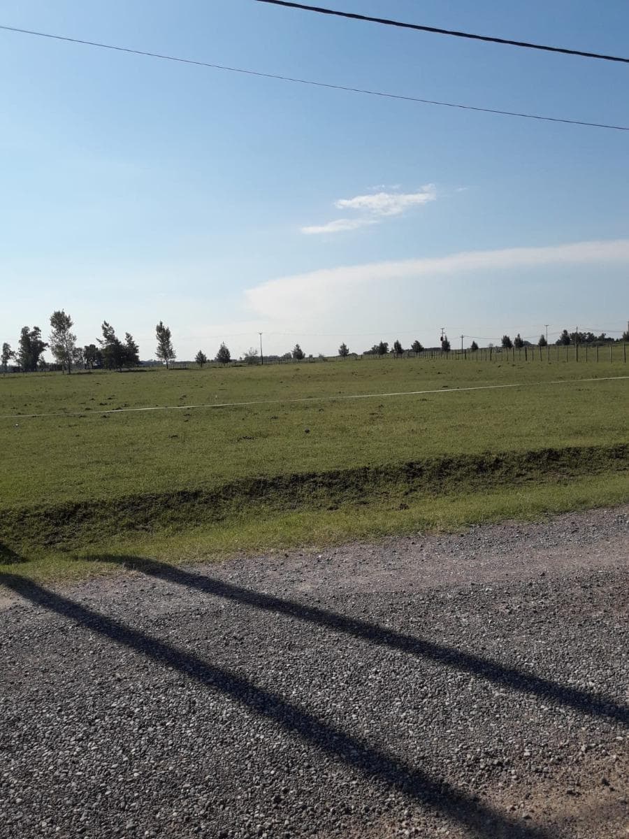 Terreno en venta - 12000mts2 - Chacras de Abbott, San Miguel del Monte - 1