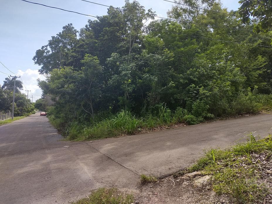 Terreno en venta en Laguna Guerrero, Q. Roo 3048.84 m2. Cerca de Bacalar - 1