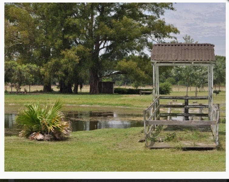 Retasado Venta de campo, fondo de comercio, 6has. en Gral. Rodriguez, pcia. de Buenos Aires - 1