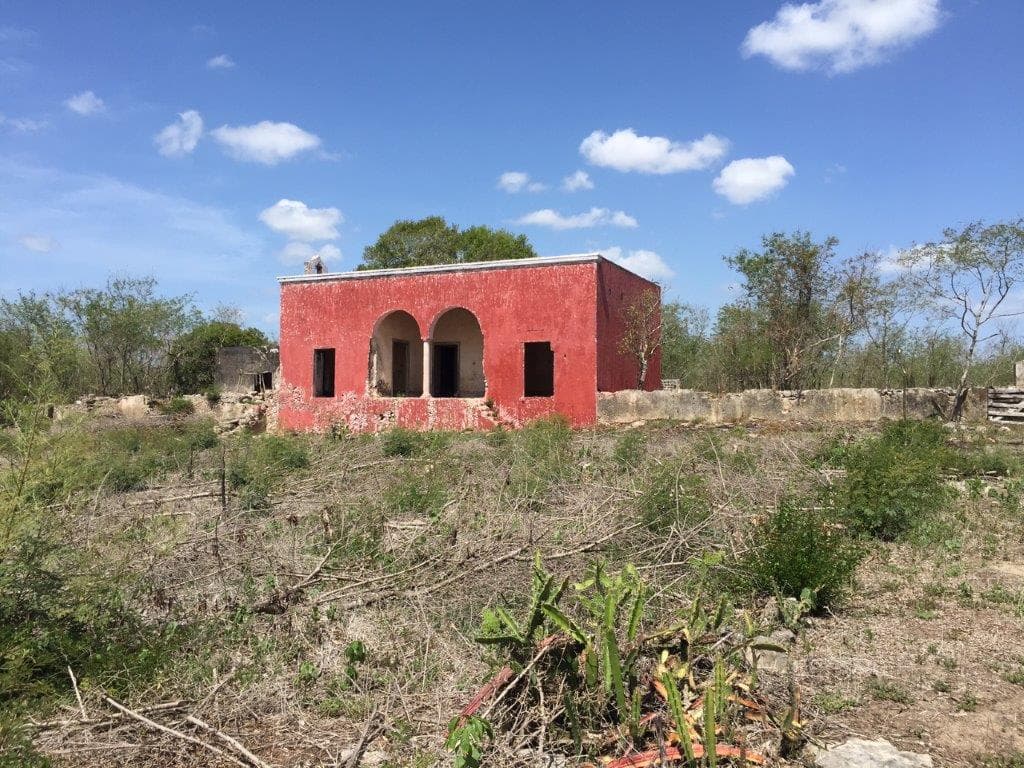 Finca - Ex Hacienda - 1