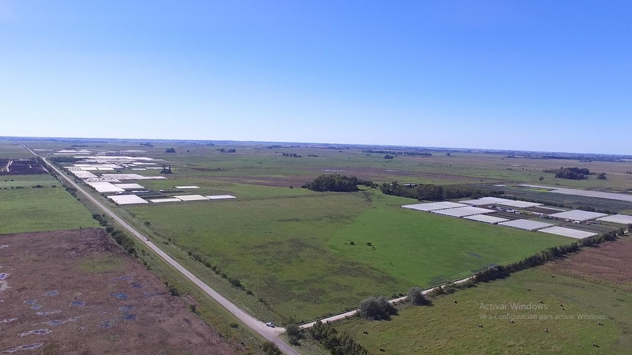 Campo en venta en Magdalena sobre Ruta 36 - Dacal Bienes Raices - 1