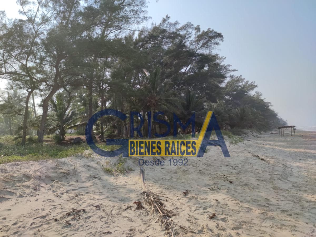 TERRENO EN VENTA EN LA PLAYA CON FRENTE AL MAR - 1