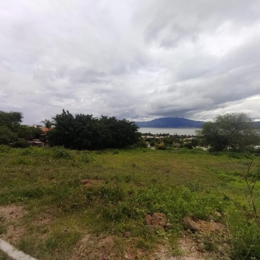 TERRENO EN VENTA FRACC. RANCHO ALEGRE - 1