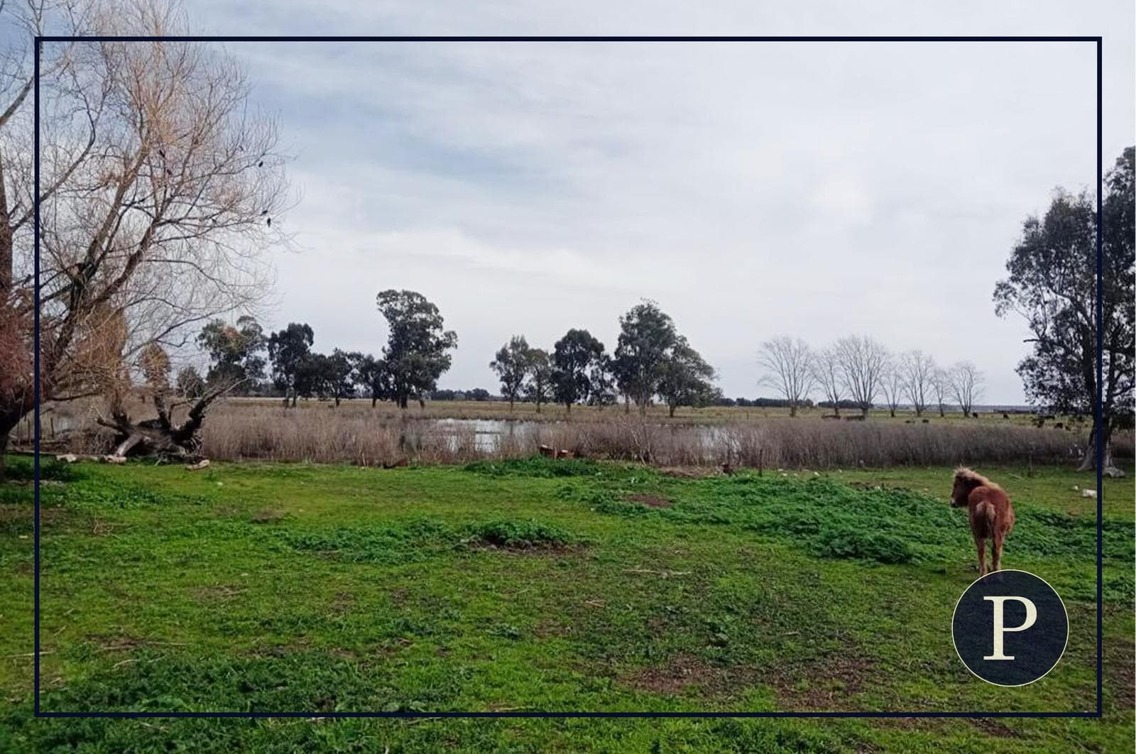 Campo en Comandante Nicanor Otamendi - 1
