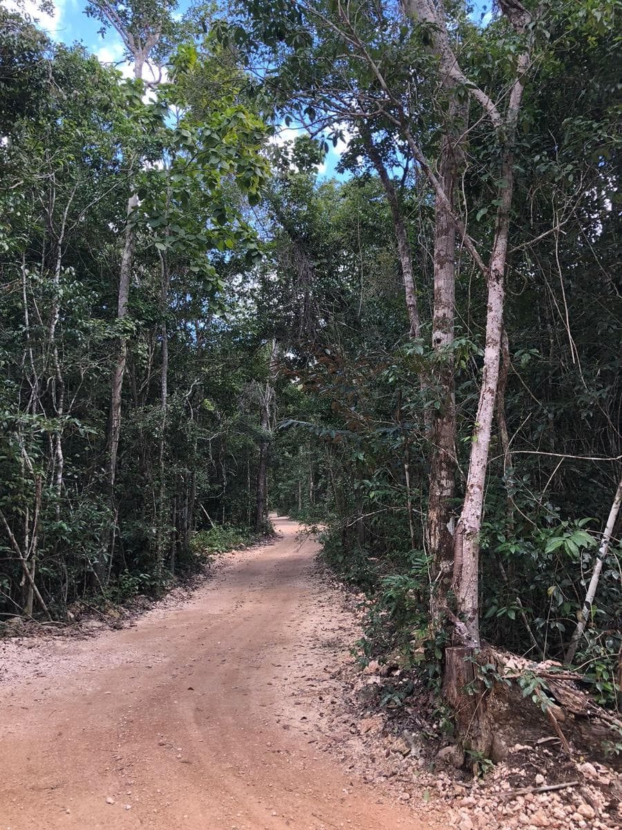 Terreno en Puerto Morelos - 1