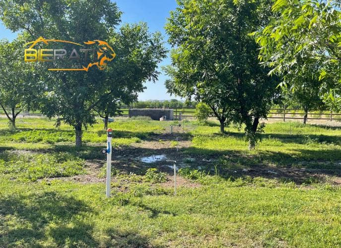 Rancho en Saucillo - 1
