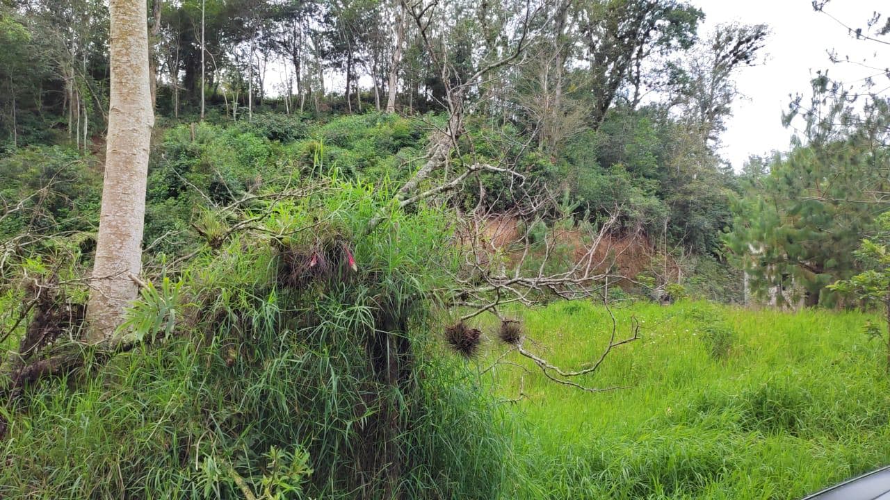 Terreno en Zona Campestre - 1
