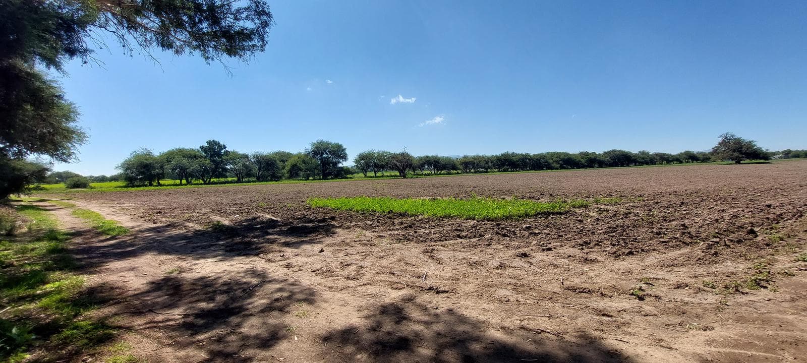 Venta 7 hectáreas planas a 10 min del Paraque Industrial Opción y 30 del Parque Ind. Querétaro - 1