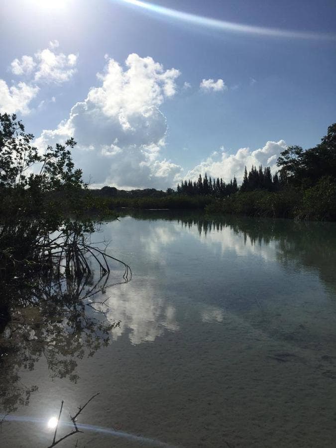 Terreno con playa en venta en Estero de Chac, Q.Roo 21,000 m2. Cerca de Bacalar - 1
