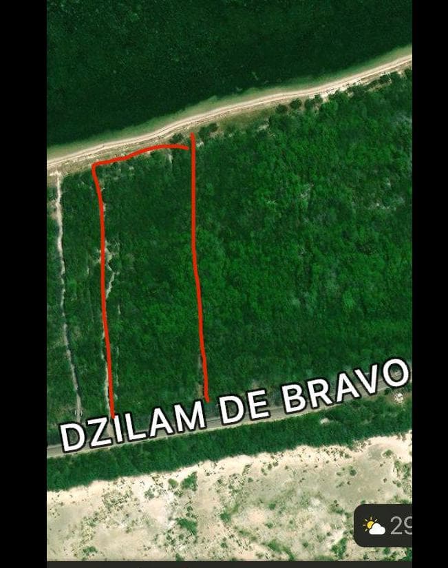 Terreno Frente al Mar en Dzilam de Bravo de 82 mts frente por 190 mts de fondo - 1