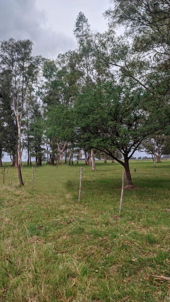 Terreno en venta - 6000mts2 - Monte - 1