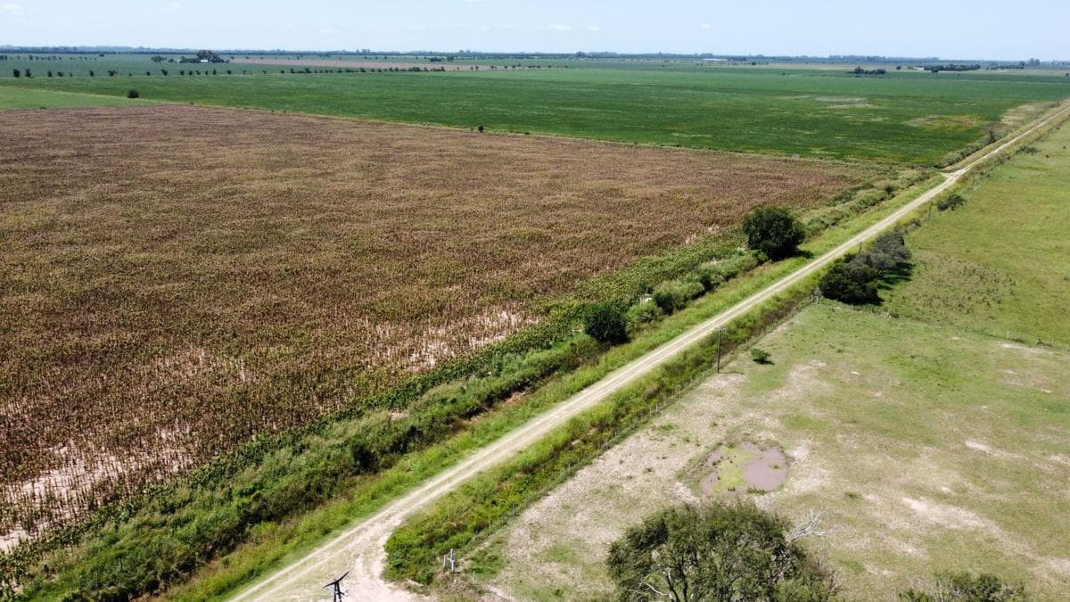 Campo ganadero - agricola - mixto- Galvez - 1