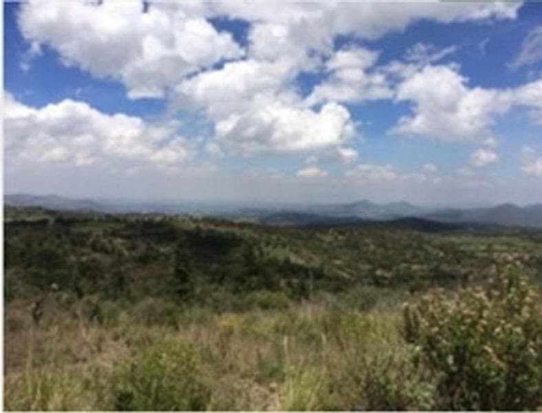 TERRENO EN VENTA EN CALPULALPAN ESTADO DE MEXICO - 1