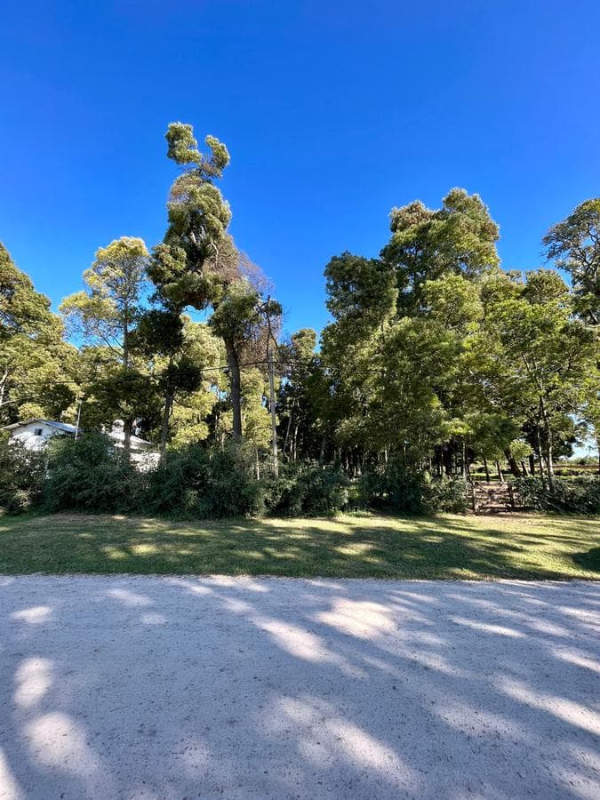 LOTE EN GRAL. MADARIAGA CHILE E/ MEXICO Y EEUU - 472 M2 SUPERFICIE - 1