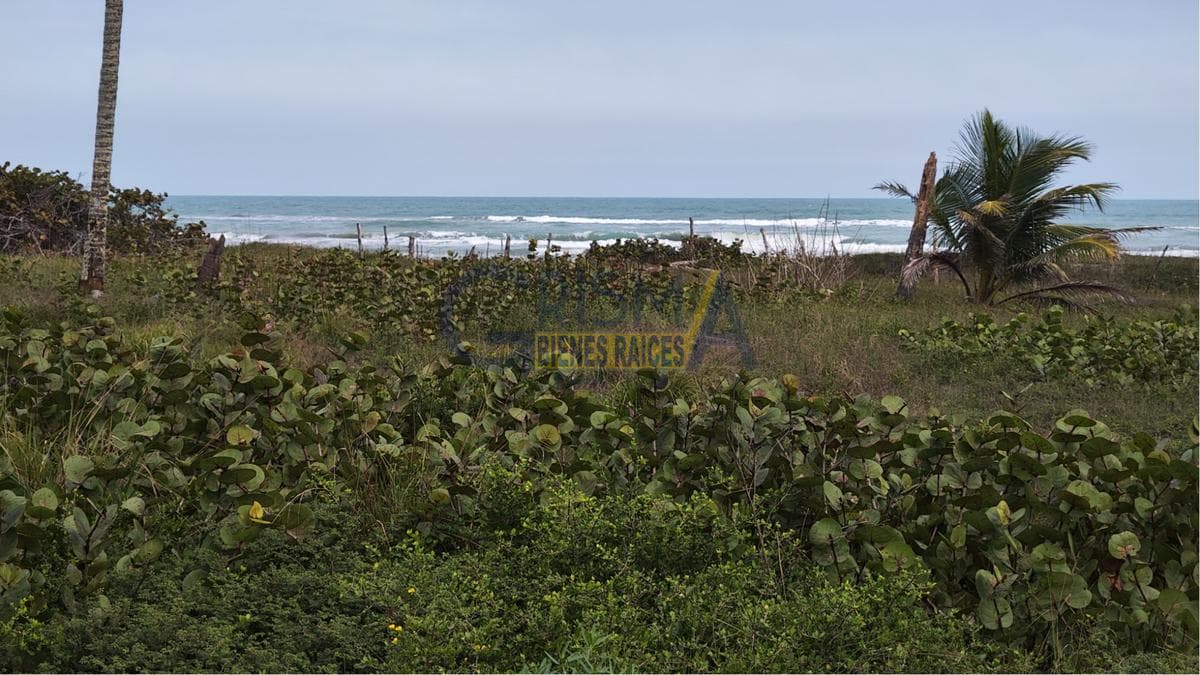 TERRENO EN VENTA EN LA PLAYA UBICADO EN BARRA GALINDO, VERACRUZ - 1