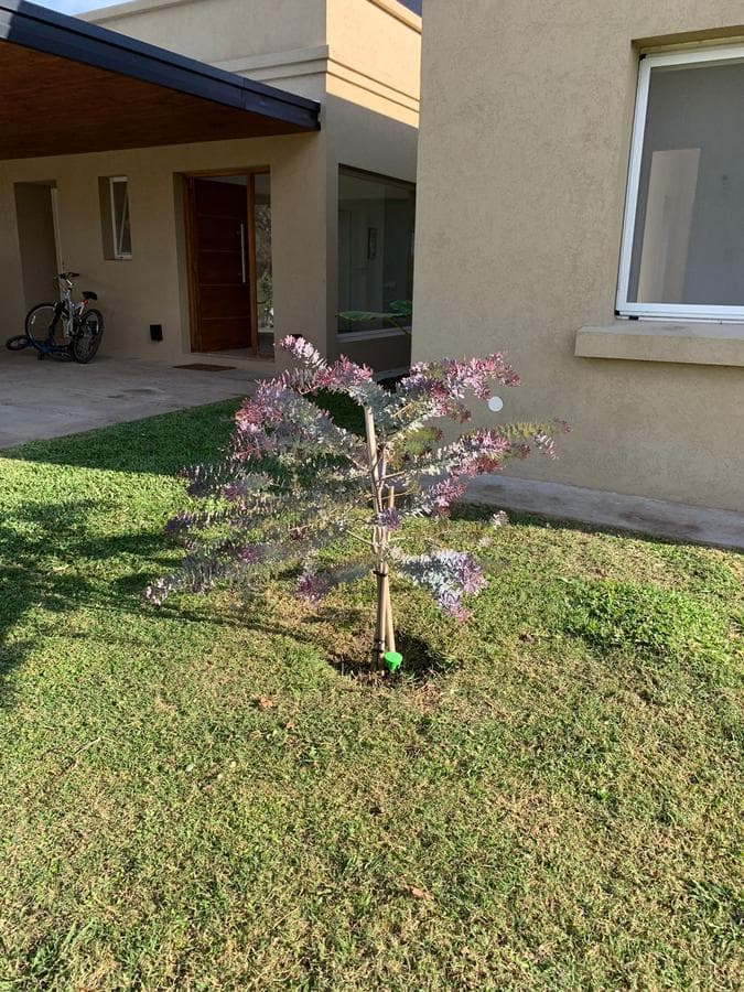 Casa en Alquiler en El Campo - Fincas Exclusivas Cardales, Campana GBA Norte - 1