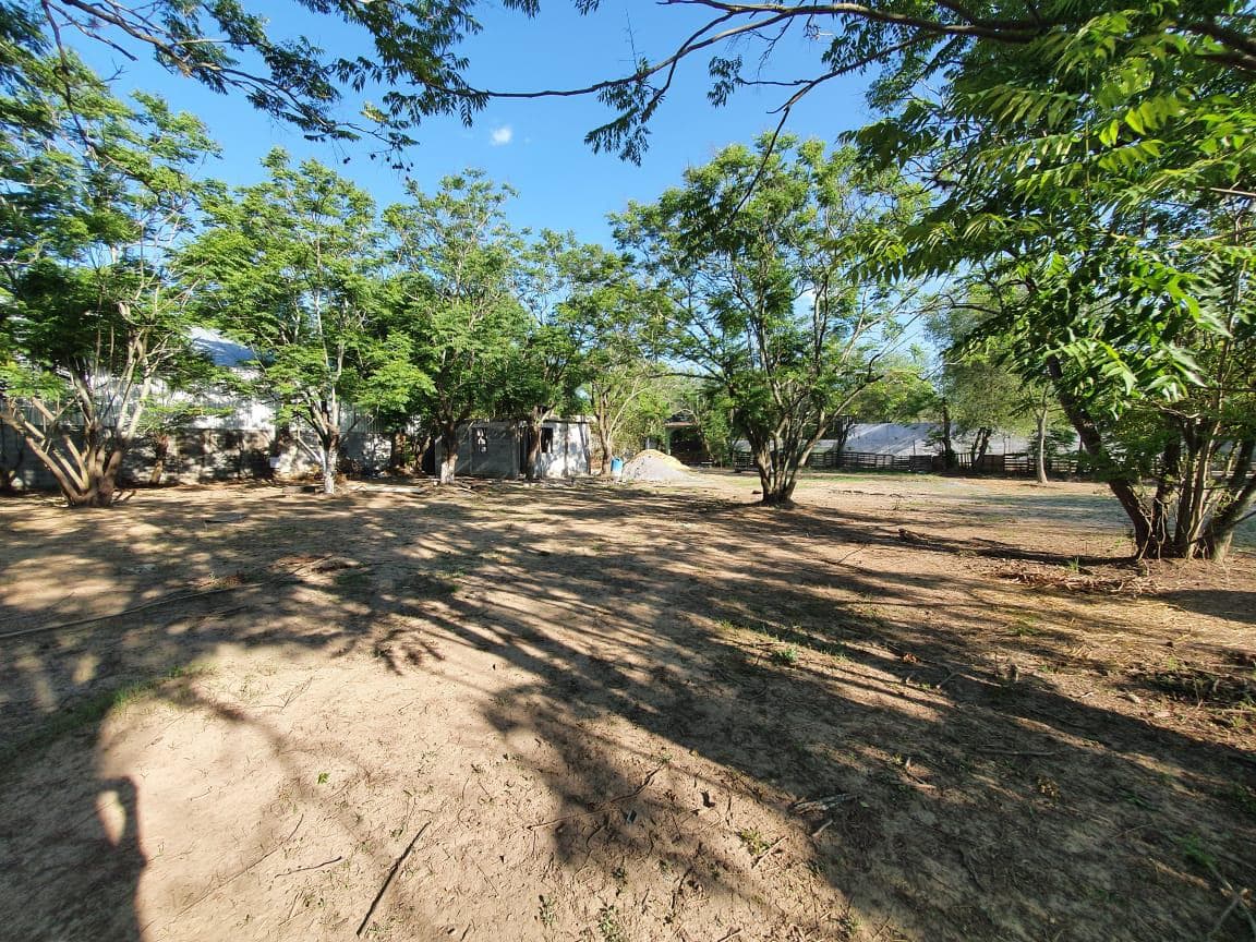 TERRENO COMERCIAL EN RENTA EN CARRETERA NACIONAL - 1