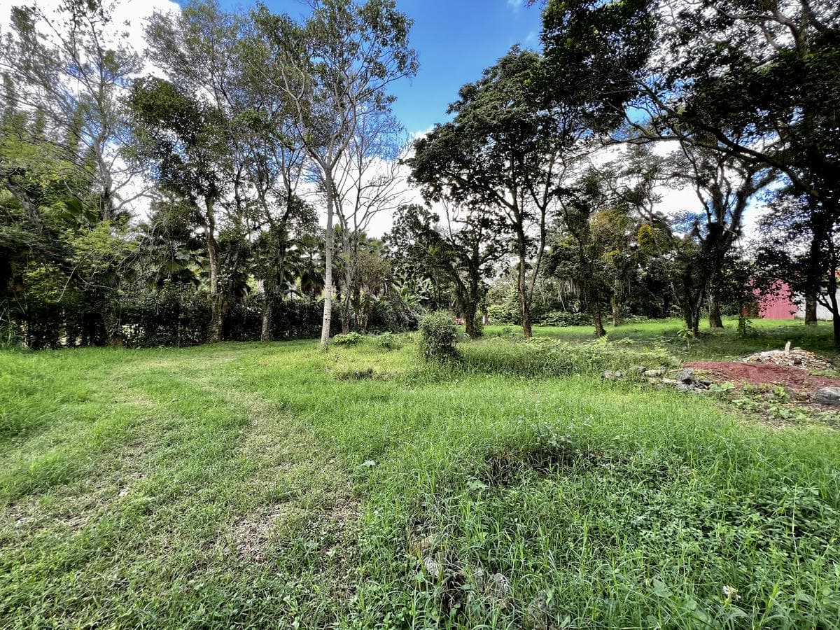 Terreno campestre en venta en Camino Antiguo a Coatepec dentro de Privada. - 1