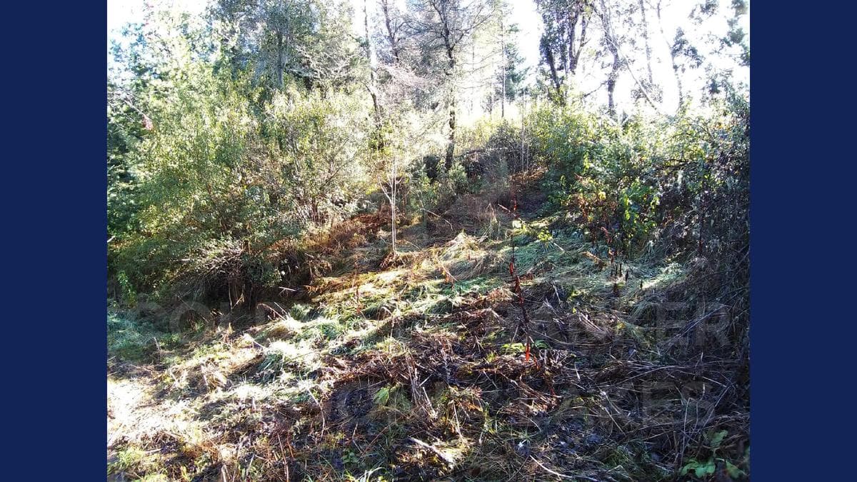 VENTA Lote/Terreno 1237.72 m2, UF 3, Caviahue s/n, Selvana, Villa la Angostura - 1