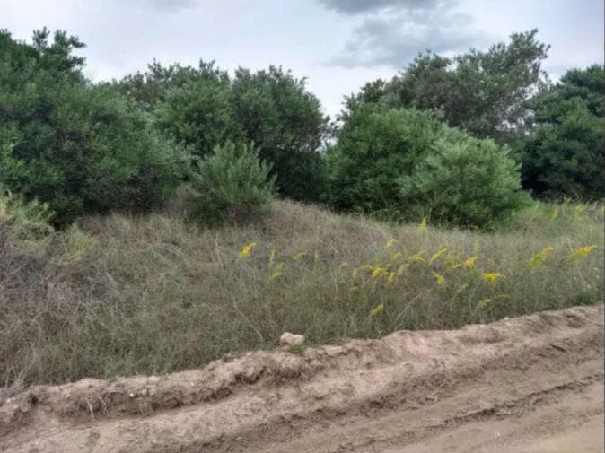 Terreno venta - 445mts2 totales - Balneario Marisol - 1