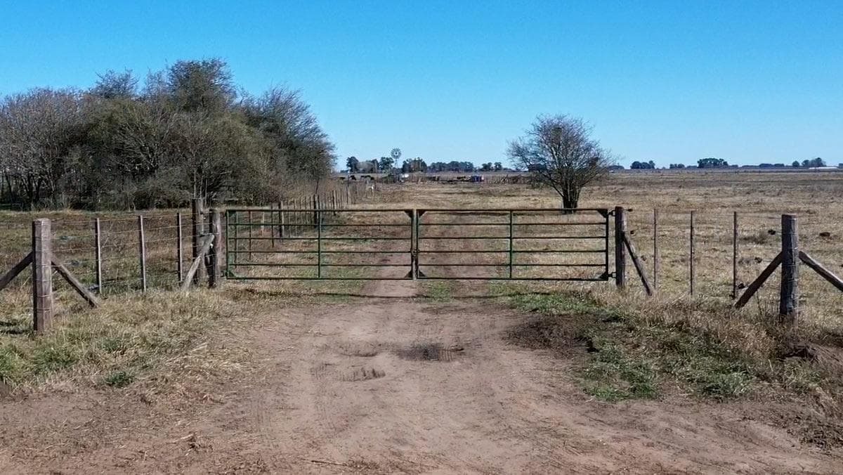 Campo de 49 Has en Navarro - 1