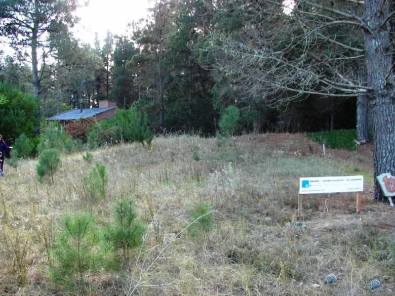 TERRENO EN MAR DE LAS PAMPAS - 1