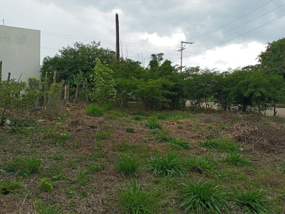 Terreno en Venta a pie de Carretera en Berriozabal - 1