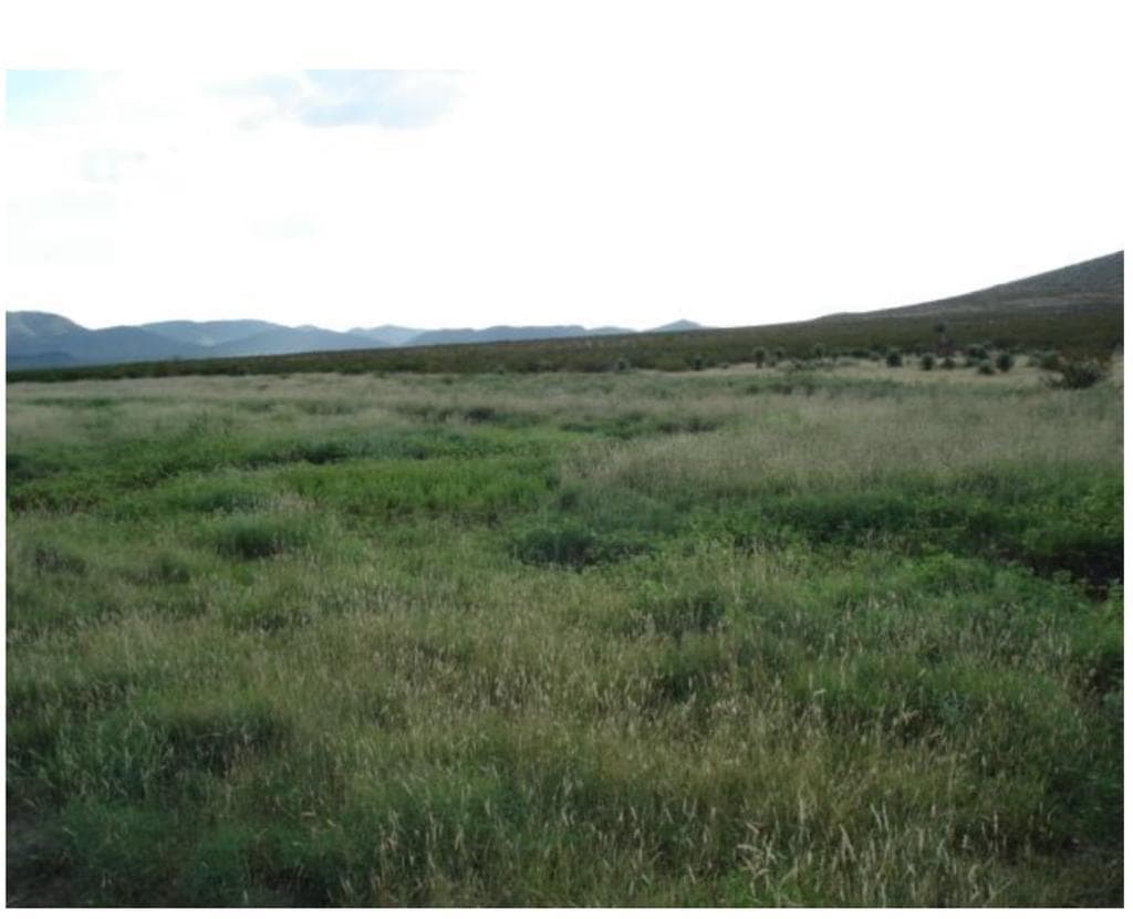 Rancho Agricola y Ganadero en Venta-250 has pastales y 12 agricolas - 1