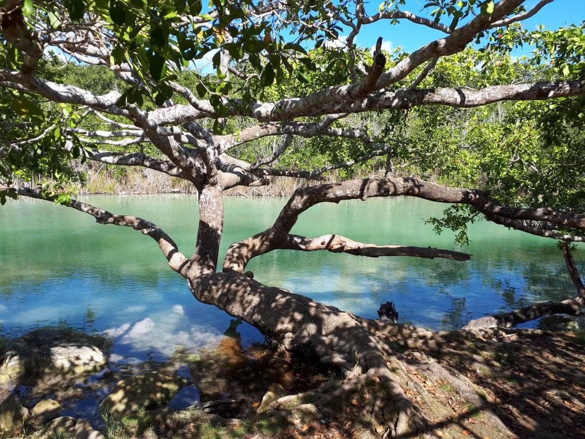 Terreno en venta en Raudales, Laguna Guerrero, Q.Roo 935.70 m2. Cerca de Bacalar - 1