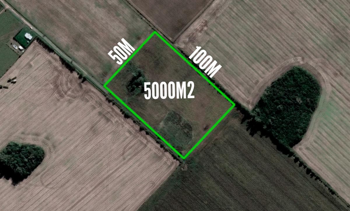 Terreno en Venta - 5000mts2 - San Andrés De Giles - 1