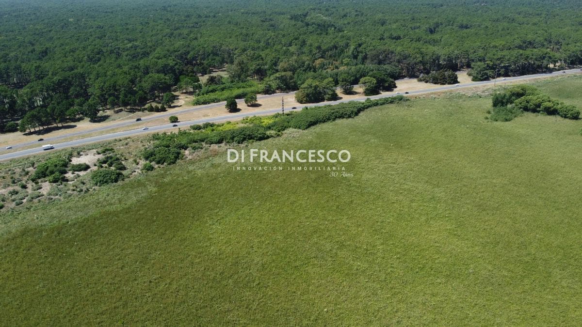 Venta - Terreno de 2 HA en Madariaga- Oportunidad sobre RP11 - 1