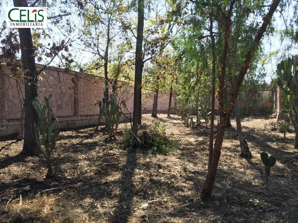 Terreno en venta en Santa Maria del Rio centro - 1