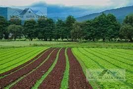 Terreno en Venta en Ixtapaluca, Estado de Mexico - 1