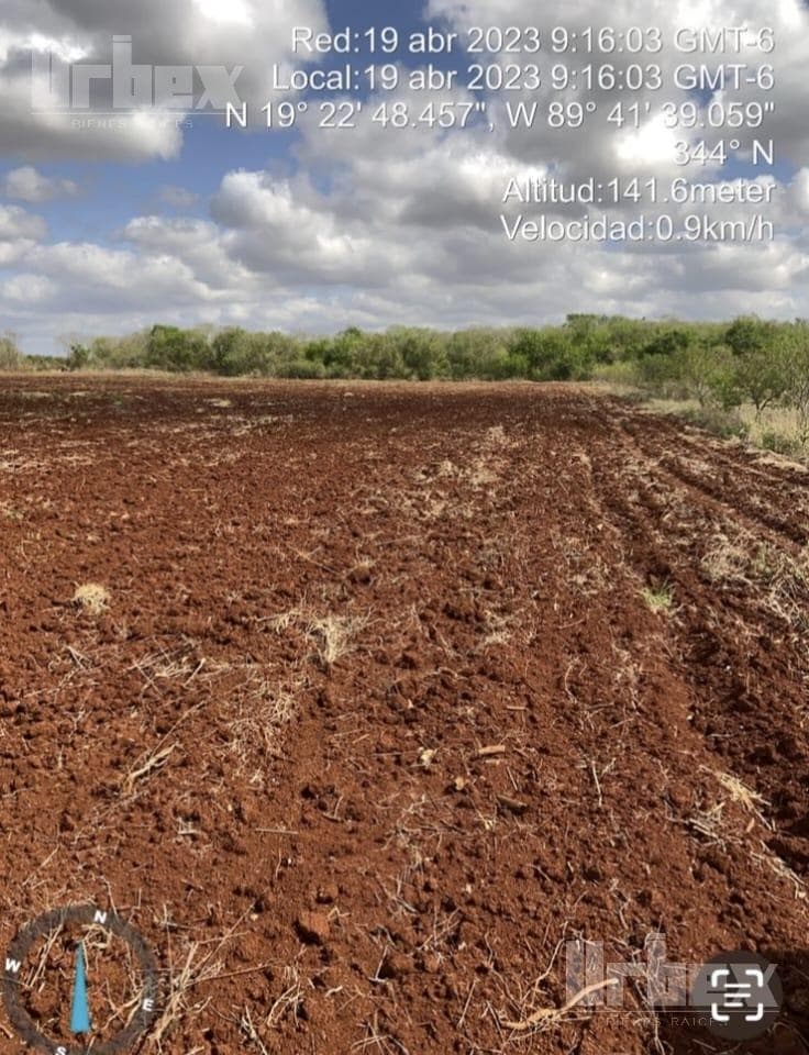 VENDO TERRENO AGRÍCOLA EN DZIBALCHÉN, HOPELCHEN; CAMPECHE. - 1