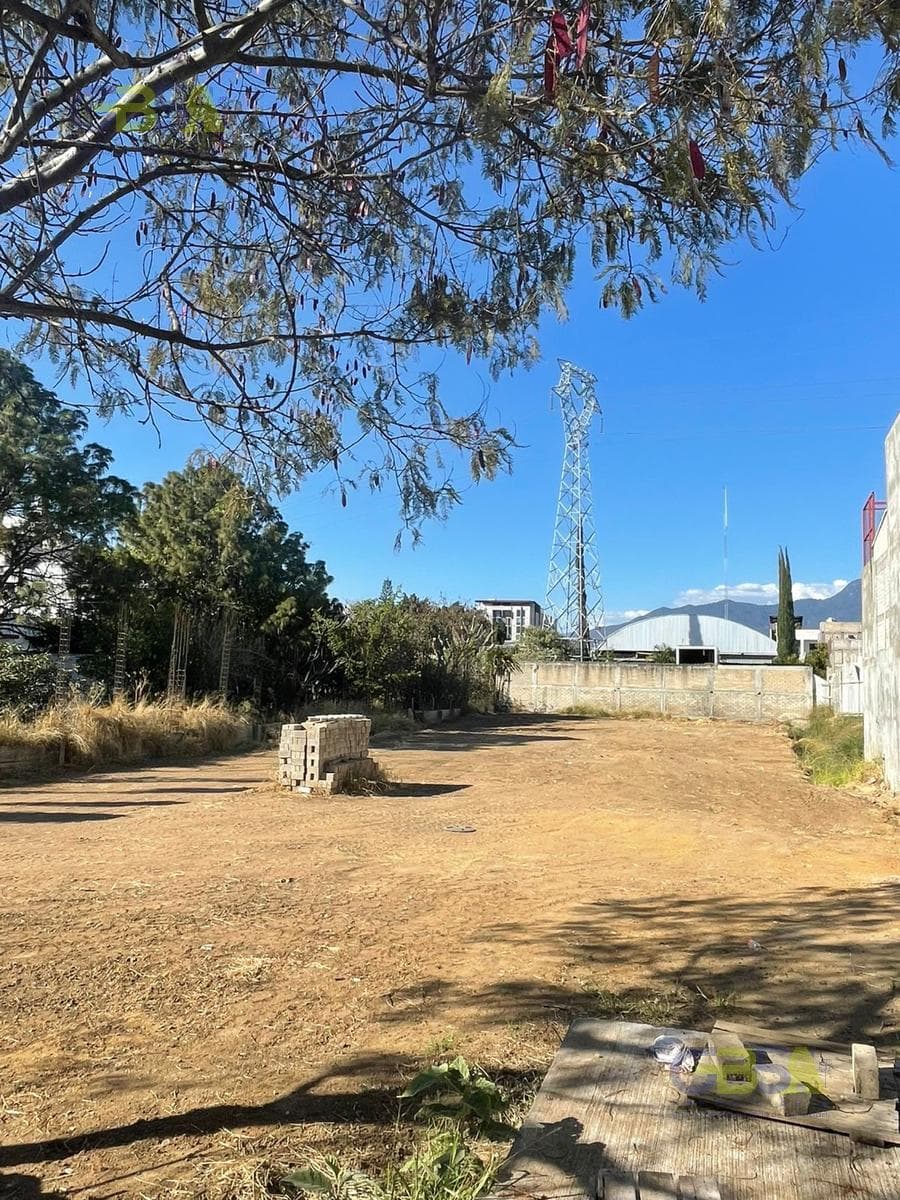 Terreno en renta en zona comercial - 1