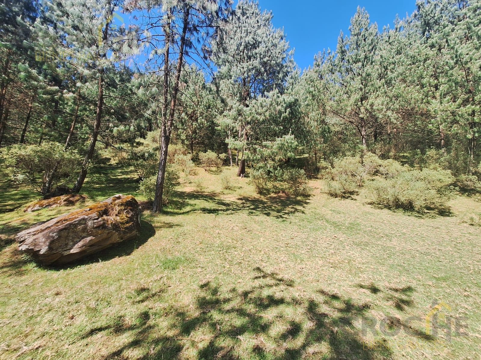 Terreno en venta en San Isidro, Las Vigas de Ramirez, Veracruz. - 1