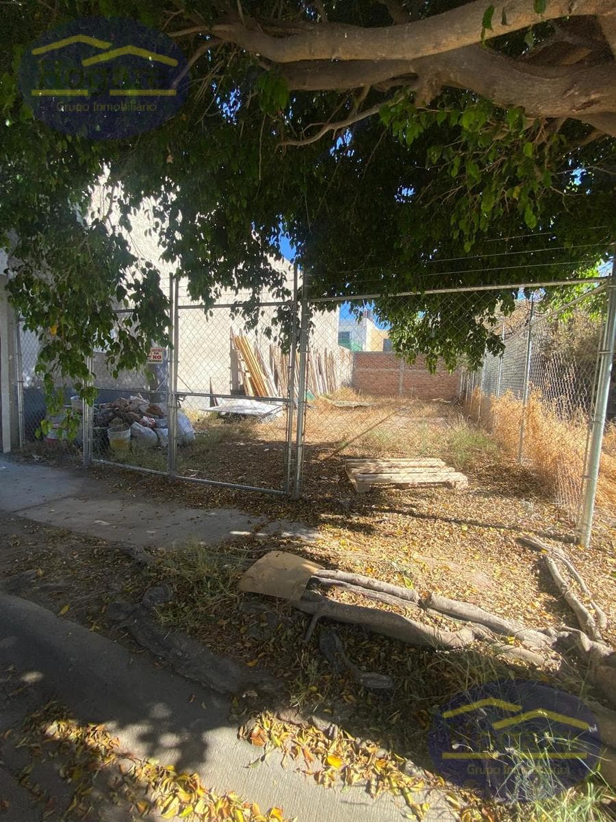Terreno en Renta en condado plus, calle campostela len gto - 1