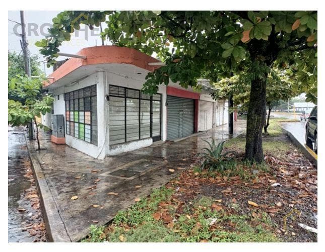 Propiedad en venta con 5 Locales y un departamento en col. Ejidal de Martínez de la Torre - 1