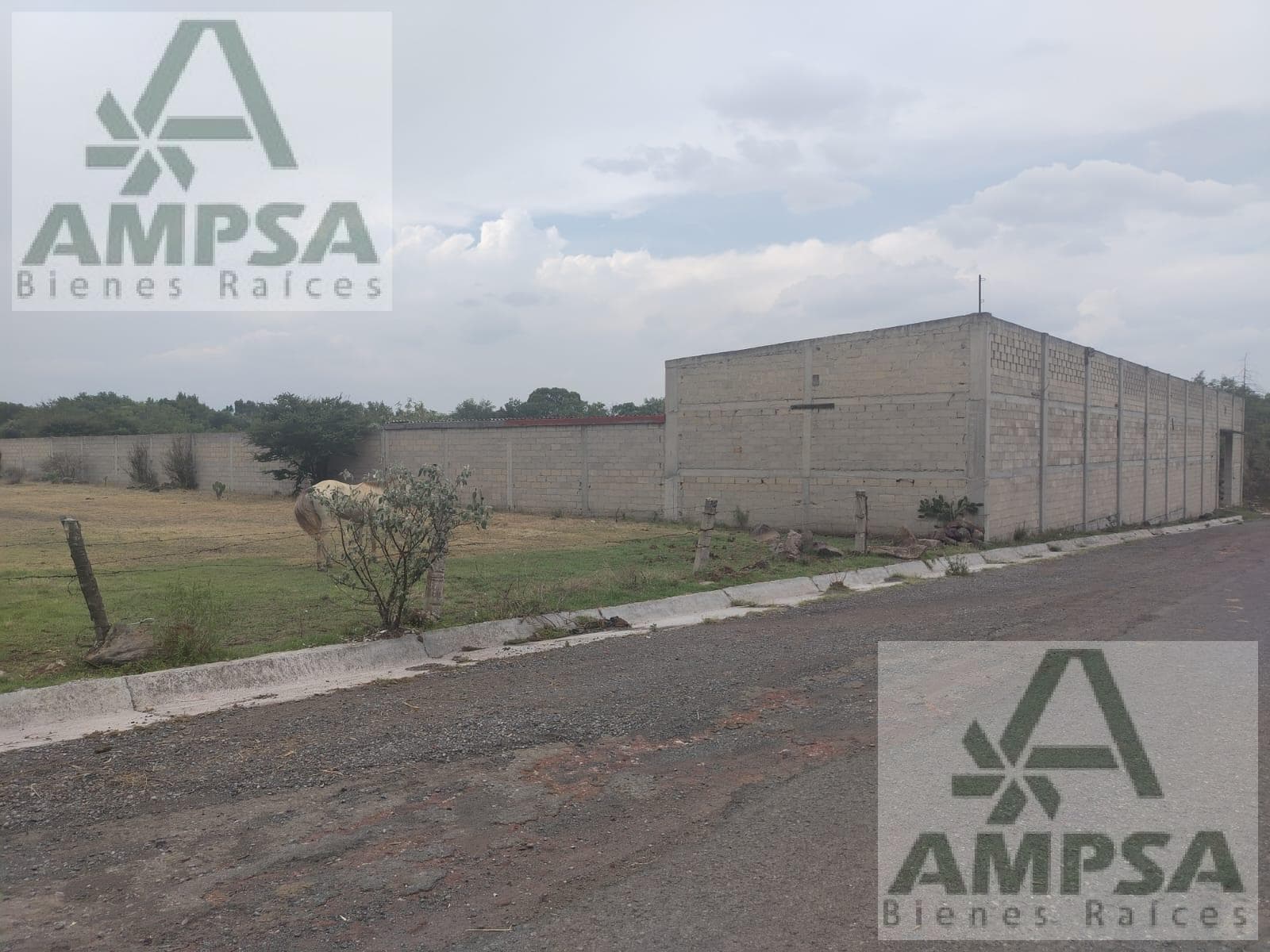 Terreno San Agustin Buenavista en Venta - 1