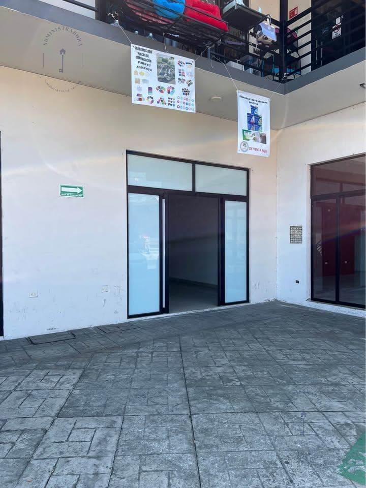 Local en Plaza Perla Coatepec - 1