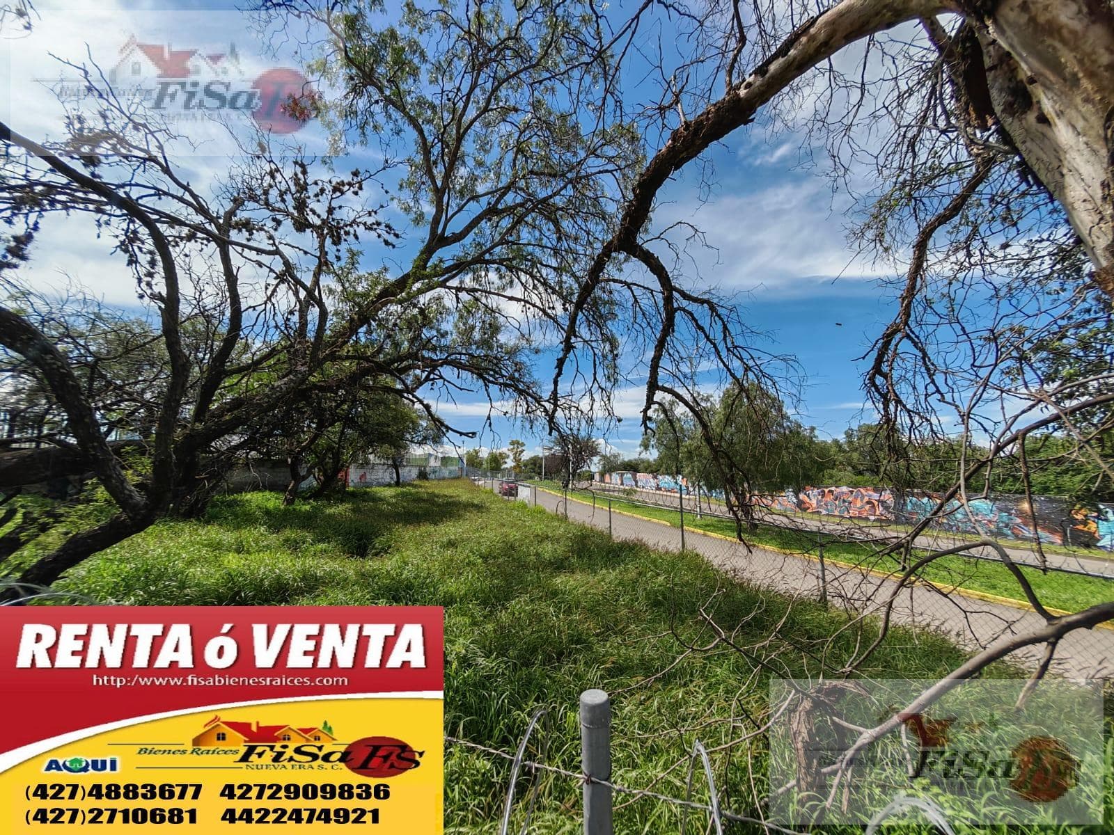 TERRENO EN VENTA Y/O RENTA - 1