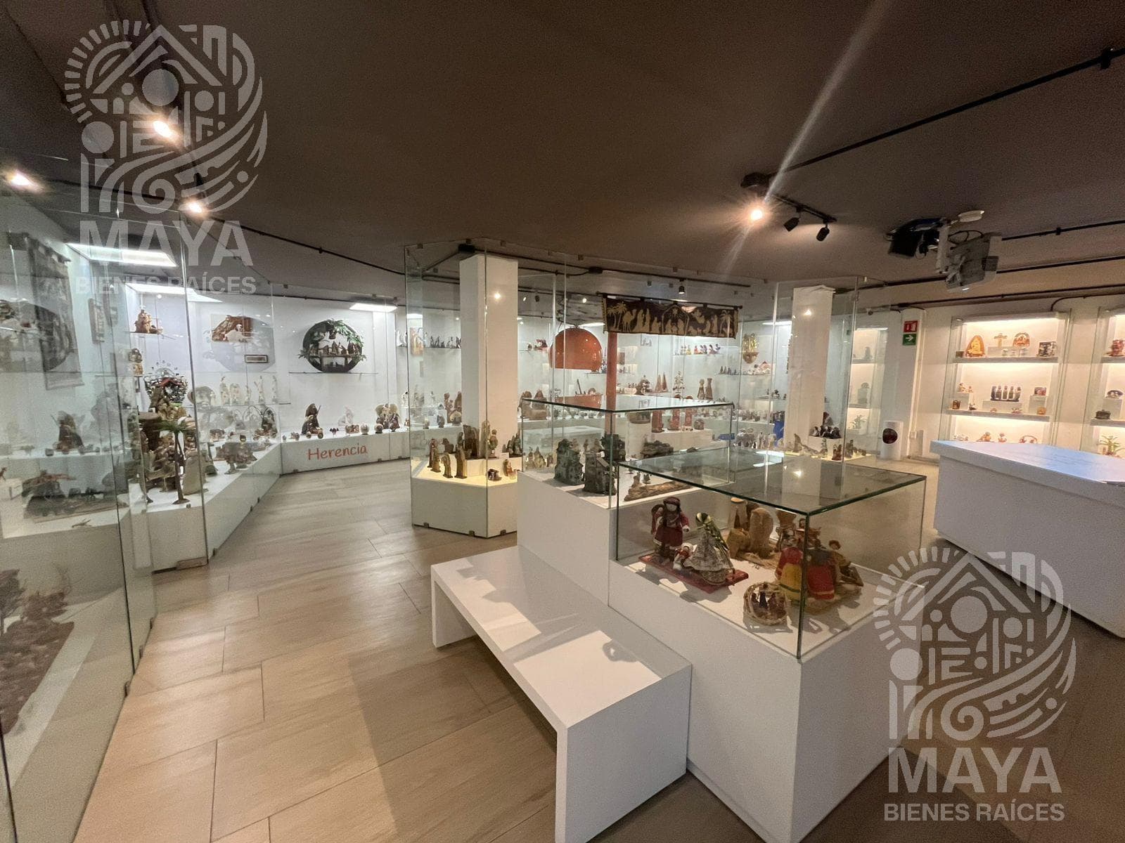 Edificio Comercial en VENTA, Museo del Nacimiento, San Juan del Río, Querétaro - 1
