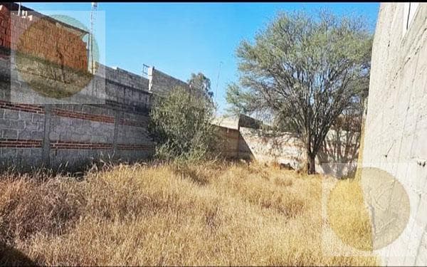 ¡Oportunidad única en bonita colonia! - 1