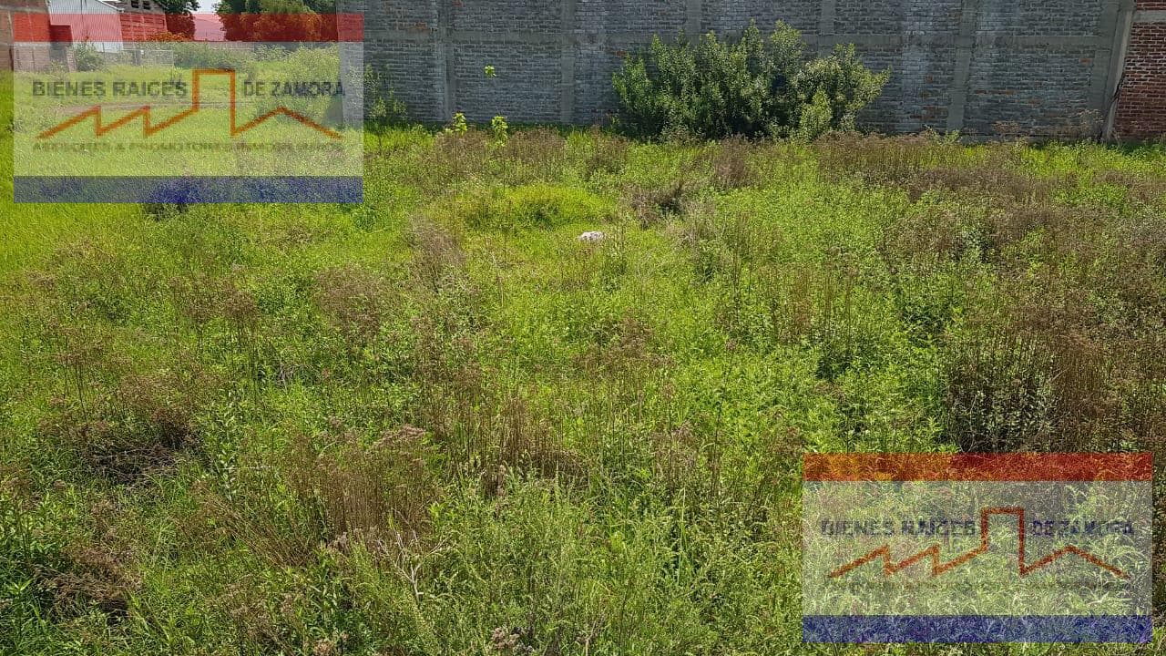 LOTE RESIDENCIAL DISPONIBLE EN VENTA PRIMITIVA QUIROZ S/N, EL PESCADOR, TANGANCICUARO, MICHOACÁN. C.P. 59750 - 1