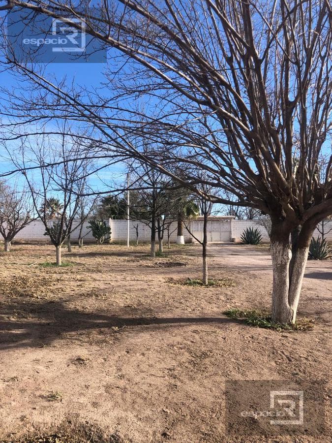 NOGALERA EN VENTA EN DELICIAS CON CASA Y ALBERCA - 1
