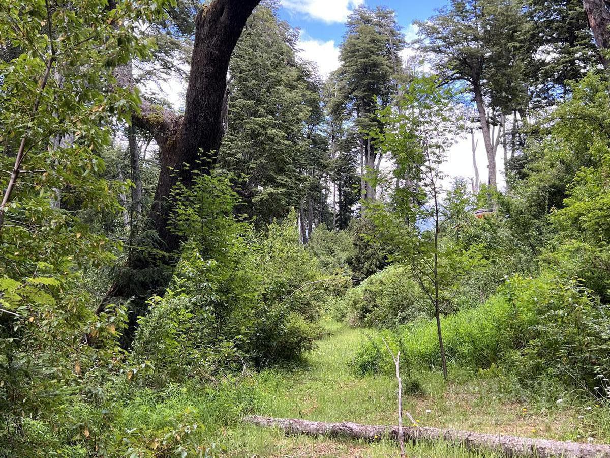 Terreno en Villa La Angostura - 1