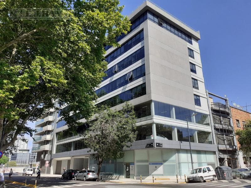 Alquiler de oficina de 240 m2 en San Telmo - 1