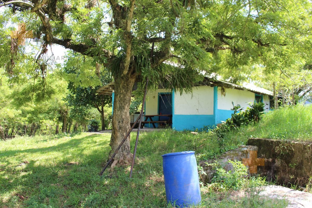 Rancho En Venta Hueytamalco Puebla. Teziutlán, Con Producción De Cítricos Y Ganado - 1